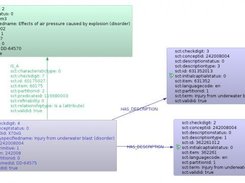 SNOMED CT in neoclipse