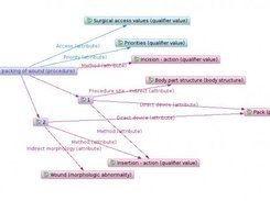 Role grouping as graph