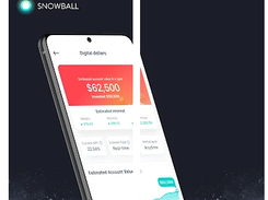 Snowball Money Screenshot 3