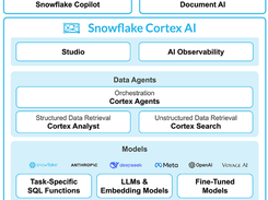 Snowflake Cortex AI Screenshot 1