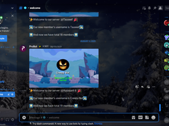 View After installing the Theme