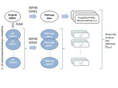 Overview of the SRT