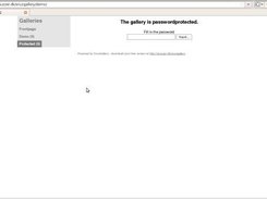 Password prompt (v1.0.2)