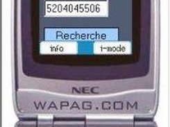 Figure 02 : Ebay input form, from Wapag emulator