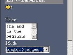 Figure 06 : Babelfish input form, from Internet Explorer