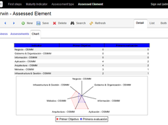 Enterprise assessed spider chart