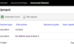 Assessed Elements by consultant