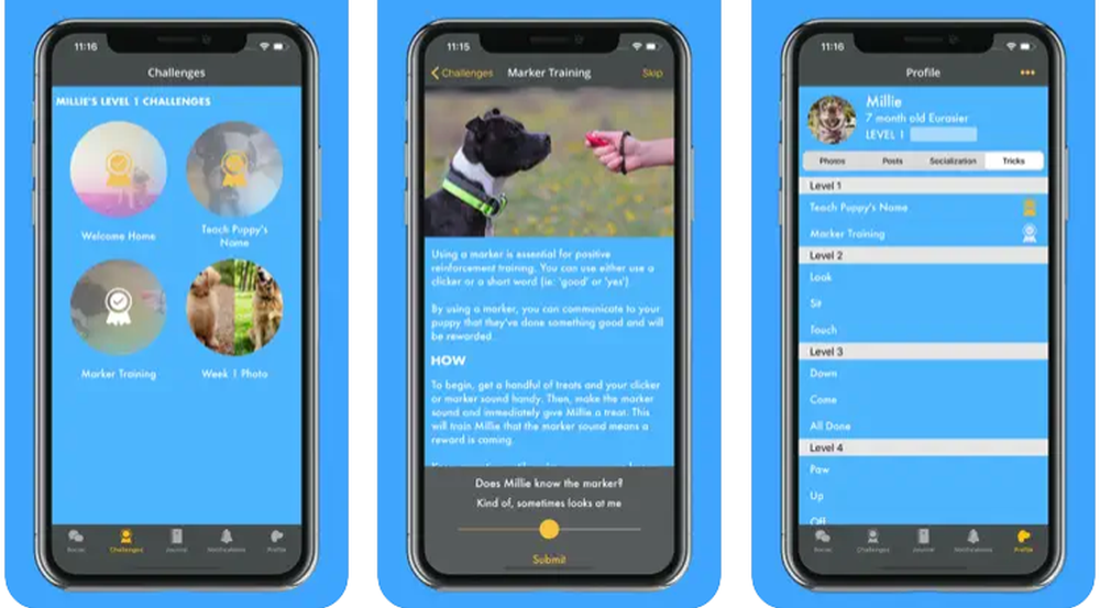 Social Puppy Screenshot 1