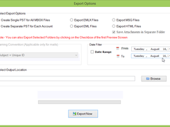 choose export options