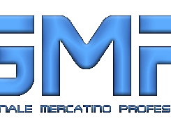 Gestionale Mercatinousato Professional