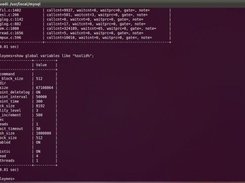SolidDB Global Variables