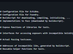 Solidity Fuzzing Boilerplate Screenshot 1