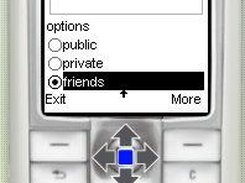 Posting attributes form
