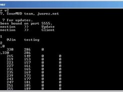 Beta 1: Screenshot of the server window.