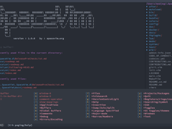 SpaceVim Screenshot 1