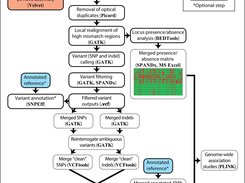 SPANDx workflow