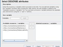 The screen for generating a DESCRIBE query.