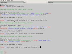 gentoo in action - pressing F11 gives a fullscreen Terminal