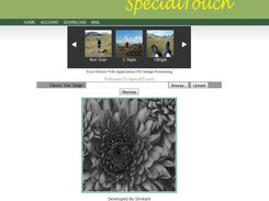 GrayScale_Effect