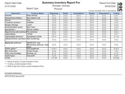 Example Inventory Report