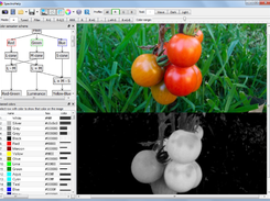 Main window highlights red color on loaded image