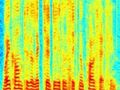 Speech spectrum
