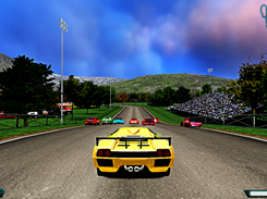 Speed Rally Pro Screenshot 5
