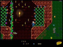 A Treasure Cave