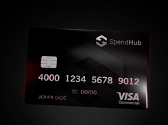 SpendHub Screenshot 1