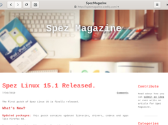 Website view