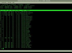 Spice2 parallelized run