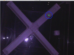 Blue circle and green dot indicated the spider location, It's move during the video analysis