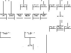 spl@sh Model