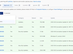 Splashtop Autonomous Endpoint Management Screenshot 1