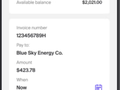 Split Payments Screenshot 1