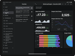 Splunk Enterprise Screenshot 2