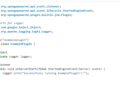 SpongeAPI Screenshot 1