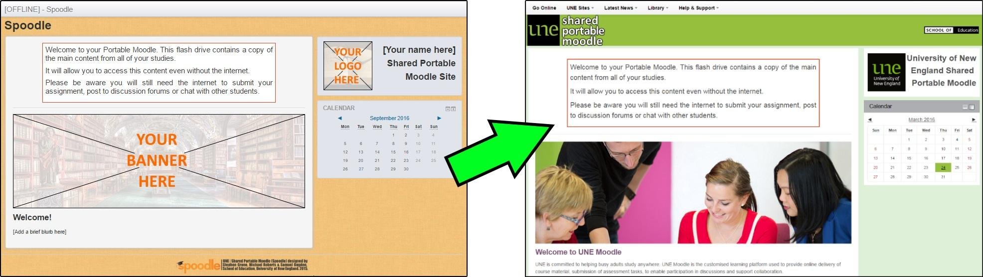 Spoodle moodle best sale