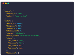 Sports Data API Screenshot 1