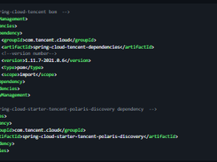 Spring Cloud Tencent Screenshot 1