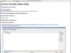 spring-saml Screenshot 2