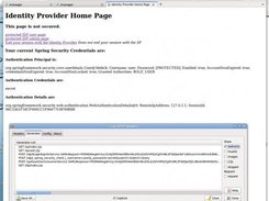 spring-saml Screenshot 1