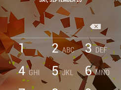 Reset to pin password
