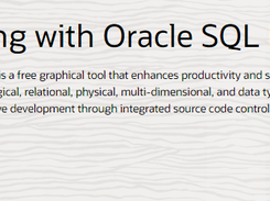 Oracle SQL Developer Data Modeler Screenshot 1