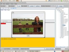 Showing photos(Blob) stored in the database