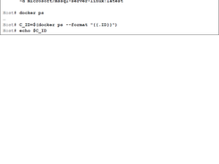 Start SQL Server in Docker