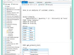 SQL Notebook Screenshot 1