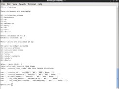 sqli.py Example 1