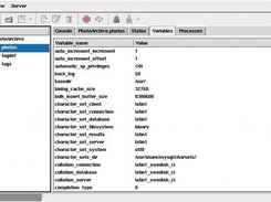 View System Status, Variables and Processes