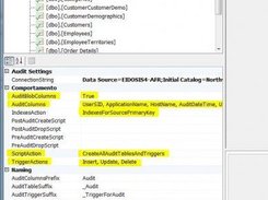 Sql Audit Settings